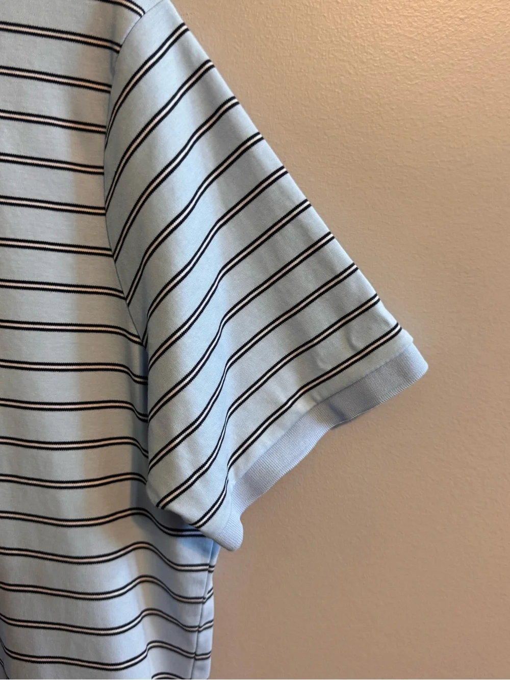Polo Ralph Lauren Men's Large Classic Fit Blue Striped Cotton Polo Shirt
